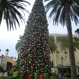 Christmas Tree Fashion Island